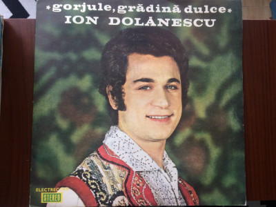 ion dolanescu gorjule gradina dulce disc vinyl muzica populara folclor EPE 0990 foto