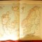 Harta Suedia ,Norvegia , Danemarca -Ed.Hachette 1906 , dim.= 42x39 cm