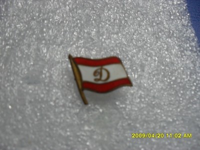 Insign Dinamo foto