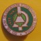 Insigna aniversara 50 de ani (1933-1983) de Cercetare Forestiera in ROMANIA