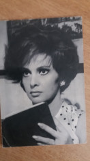 VTAS - ARTISTI - ACTORI STRAINI - IMAGINE GINA LOLLOBRIGIDA foto