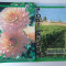 Hortinfirm/lot 10 reviste agricultura, legume si fructe/2001-2004