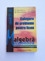 ALGEBRA ^ CULEGERE DE PROBLEME PENTRU LICEU Calsele IX XII C NASTASESCU AN 1996 foto