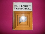 O.Sager / Lobul Temporal