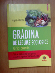 d6b Gradina De Legume Ecologice - Agnes Gedda foto