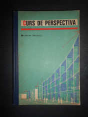 AURELIAN TANASESCU - CURS DE PERSPECTIVA foto