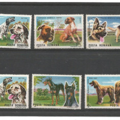 No(09)timbre-Romania 1990 - Caini De Rasa-6 val deparaiate