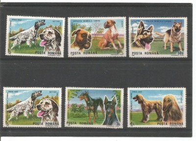 No(09)timbre-Romania 1990 - Caini De Rasa-6 val deparaiate foto