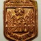 I.291 INSIGNA ROMANIA ANINA STEIERDORF MINERIT 200 REBUT h22mm