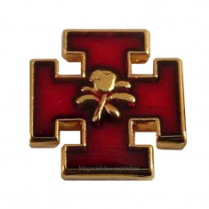 Pin Cruce de Ierusalim - Trandafir foto