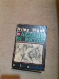 Irving Stone &ndash; Agonie Si Extaz