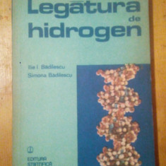 Legatura de hidrogen-I.Badilescu,S.Badilescu