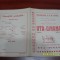 program UTA - Dinamo Bacau
