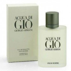 Giorgio Armani Acqua di Gio Pour Homme EDT Tester 100 ml pentru barbati foto