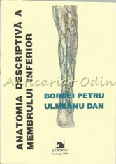 Anatomia Descriptiva A Membrului Inferior - Dr. Bordei Petru, Dr. Ulmeanu Dan foto