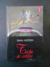 STEFAN AGOPIAN - TACHE DE CATIFEA foto