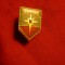 Insigna Pionier -Turist- Roza Vanturilor cl.II , metal si email , h=2,5 cm