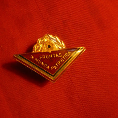 Insigna Pionier -Fruntas in Munca Patriotica , metal si email , h=3 cm