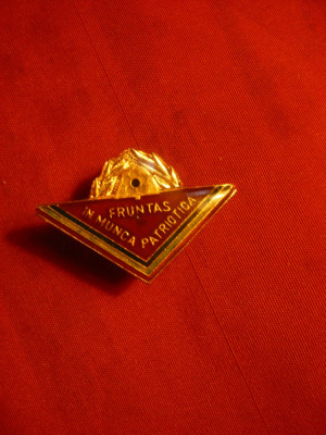 Insigna Pionier -Fruntas in Munca Patriotica , metal si email , h=3 cm foto