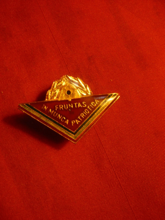 Insigna Pionier -Fruntas in Munca Patriotica , metal si email , h=3 cm