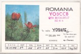 bnk cp Flori - carte postala QSL