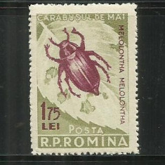 ROMANIA 1956 - INSECTE DAUNATOARE, EROARE CULOARE, LP. 413 a