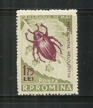 ROMANIA 1956 - INSECTE DAUNATOARE, EROARE CULOARE, LP. 413 a foto