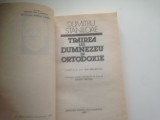 DUMITRU STĂNILOAE, TRAIREA LUI DUMNEZEU IN ORTODOXIE. ANTOLOGIE