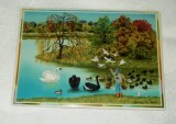 Carte Postala - de colectie - Villeroy and Boch - Primavara