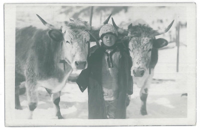 2981 - Ethnic boy, COUNTRY LIFE, Port Popular - old postcard - unused - 1916 foto