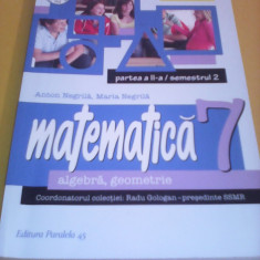 CULEGERE MATEMATICA ALGEBRA/GEOMETRIE CLASA 7 PART II/SEMESTRUL 2 ANTON NEGRILA