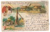2699 - ETHNIC woman, country life, Litho - old postcard - used - 1902, Circulata, Printata