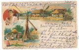 2699 - ETHNIC woman, country life, Litho - old postcard - used - 1902, Circulata, Printata