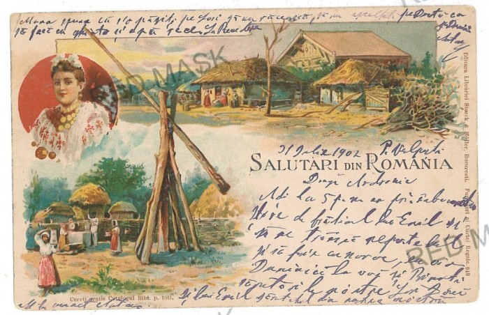 2699 - ETHNIC woman, country life, Litho - old postcard - used - 1902