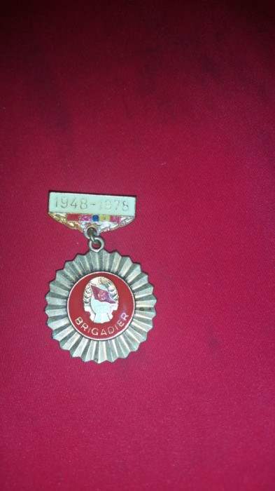 Insigna - 30 Ani - Santierele nationale ale Tineretului - Brigadier , d= 3 cm