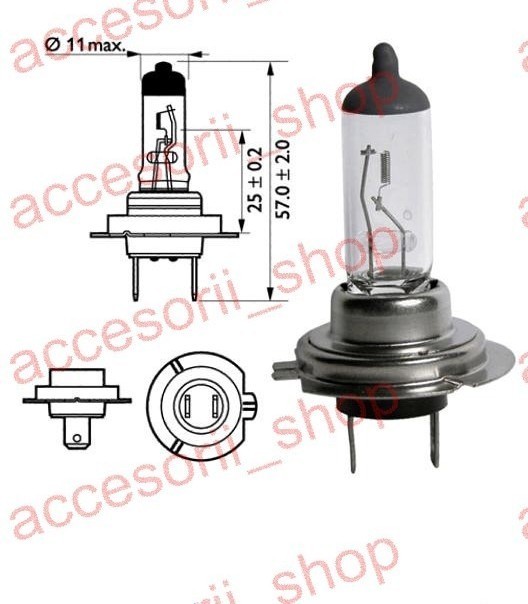 bec HALOGEN H 7 24v