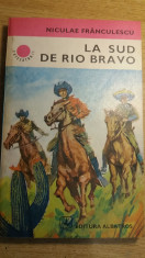 RWX 18 - LA SUD DE RIO BRAVO - NICULAE FRANCULESCU - CUTEZATORII - EDITIA 1980 foto