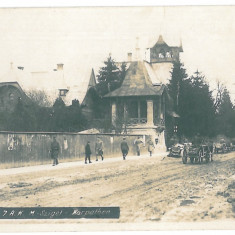 3914 - SIGHET, Maramures, ethnic with carts - old postcard, real PHOTO - unused