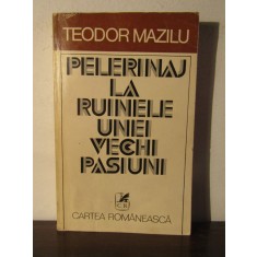 PELERINAJ LA RUINELE UNEI VECHI PASIUNI-TEODOR MAZILU