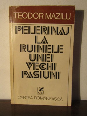 PELERINAJ LA RUINELE UNEI VECHI PASIUNI-TEODOR MAZILU foto