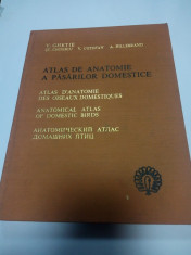 ATLAS DE ANATOMIE A PASARILOR DOMESTICE - V. GHETIE foto