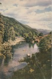 Vedere Color Valea Tarcăului, Bacău, 96x145 mm, RPR 1956, Ne Circulată - Carte Poștală Moldova