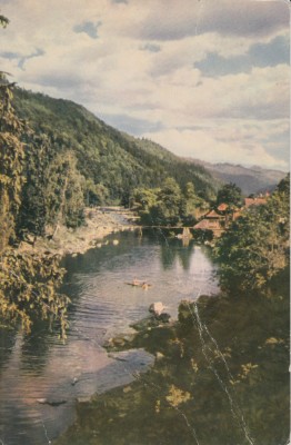 Vedere color, 96 x 145 mm, necirculata, valea Tarcaului, Regiunea Bacau foto