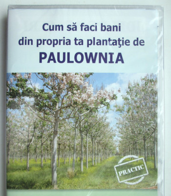 CUM SA FACI BANI CU O PLANTATIE DE PAULOWNIA - IDEI de AFACERI foto