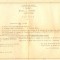 Z63 DOCUMENT VECHI- BREVET ELVETIAN DE MECANIC CLASA I (VAPOR) PARTHENIS GEORGES