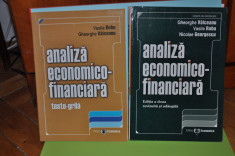 Analiza economico-financiara - Vasile Robu , Gheorghe Valceanu foto
