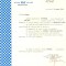 Z100 DOCUMENT VECHI -SABENA BELGIAN WORLD AIRLINES -INSTIINTARE FLOAREA NITA1964
