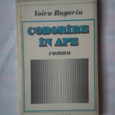(C359) VOICU BUGARIU - COBORARE IN APE