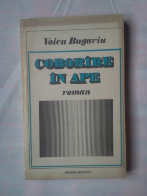 (C359) VOICU BUGARIU - COBORARE IN APE foto