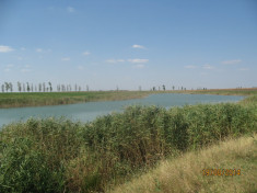 Balta pescuit intre Urziceni si Slobozia foto